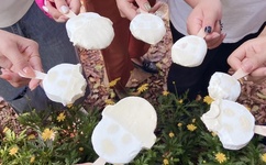 麻豆星空传媒视频中国